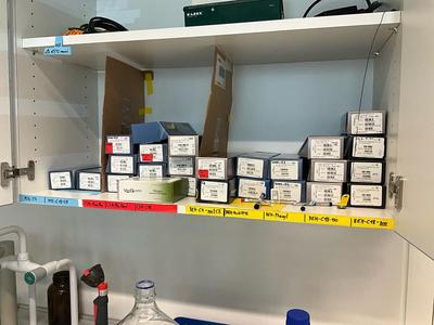 Overview picture of WATERS Lot of various HPLC Columns